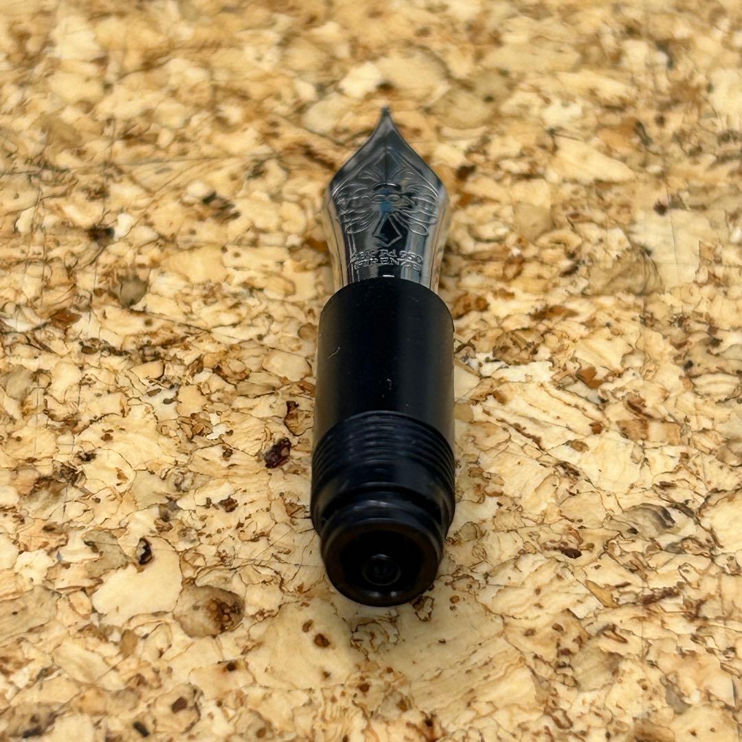 Visconti DIVINA 23K palladium nib 単体
