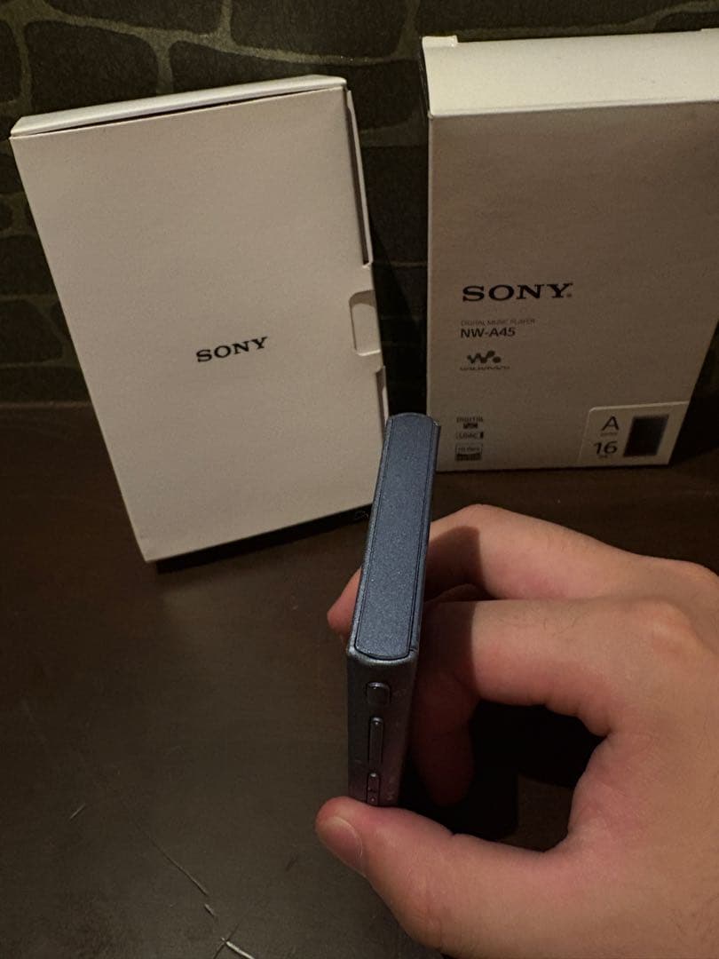 SONY NW-A45 デジタルオーディオプレーヤー