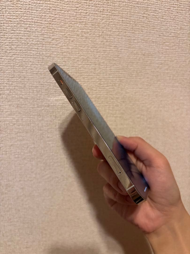 Apple iPhone 12 Pro シルバー 本体のみ