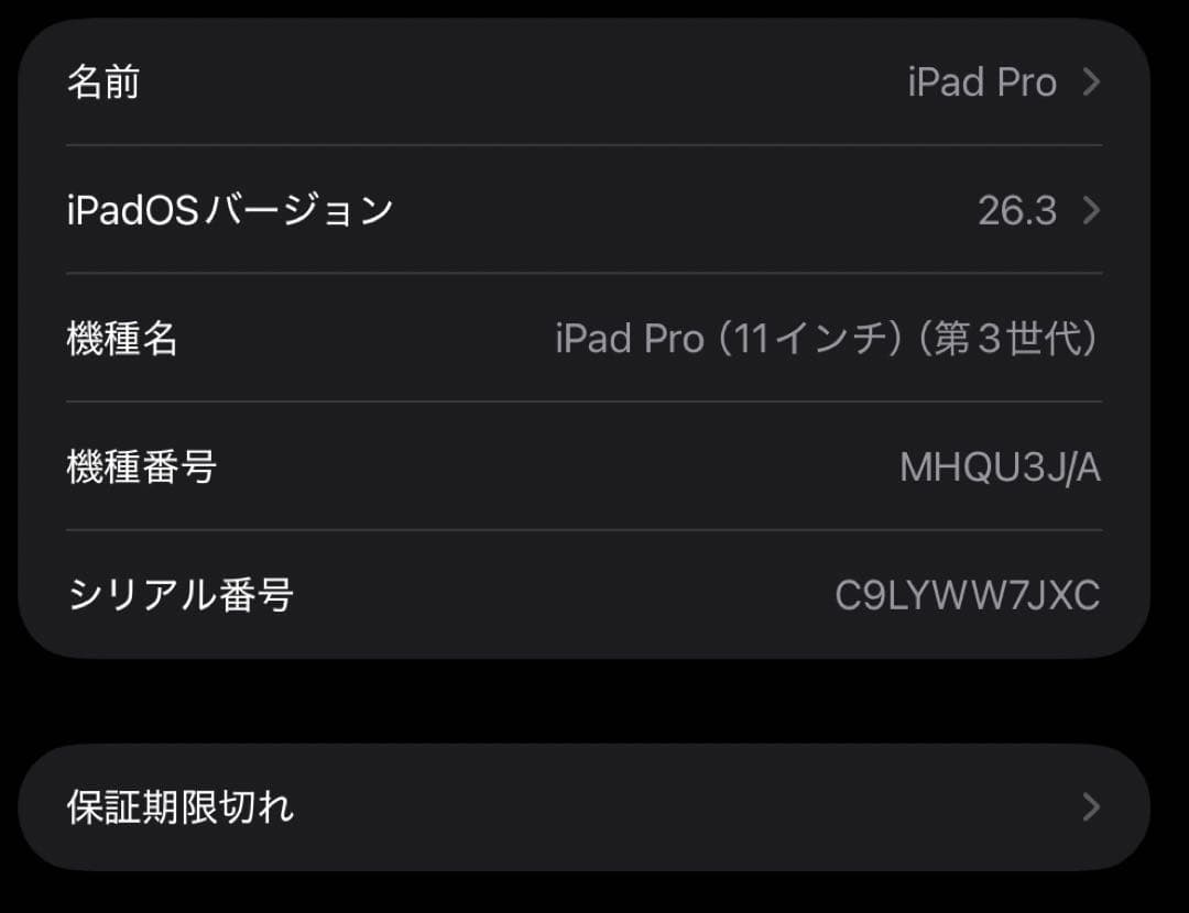 iPad Pro 11inch (第3世代)