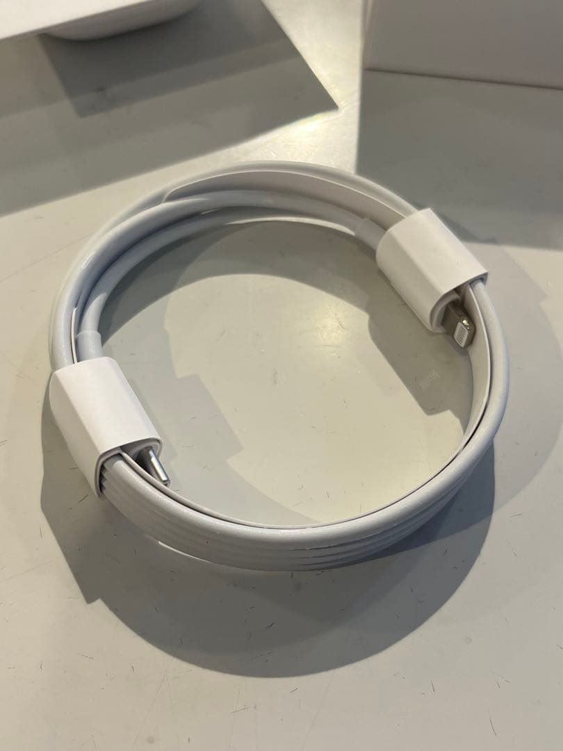 2019年Apple AirPods Pro ホワイト 充電ケース付き