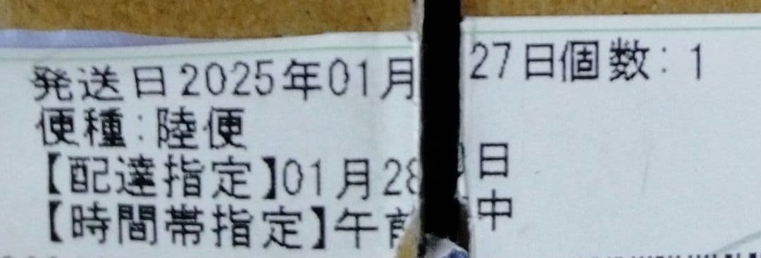 OlyLife THz Tera-P90 フットマッサージャー