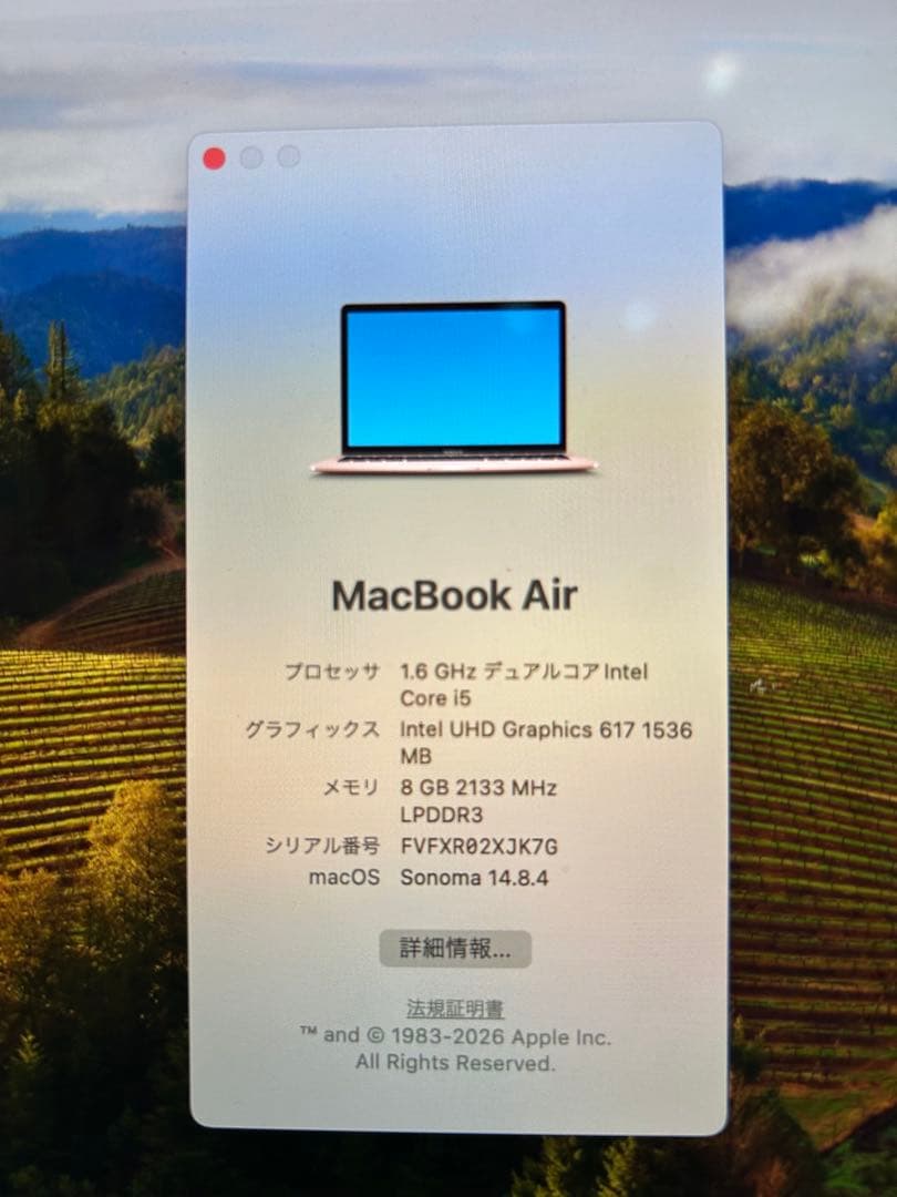 MacBook Air 本体　2018年式　ローズゴールド