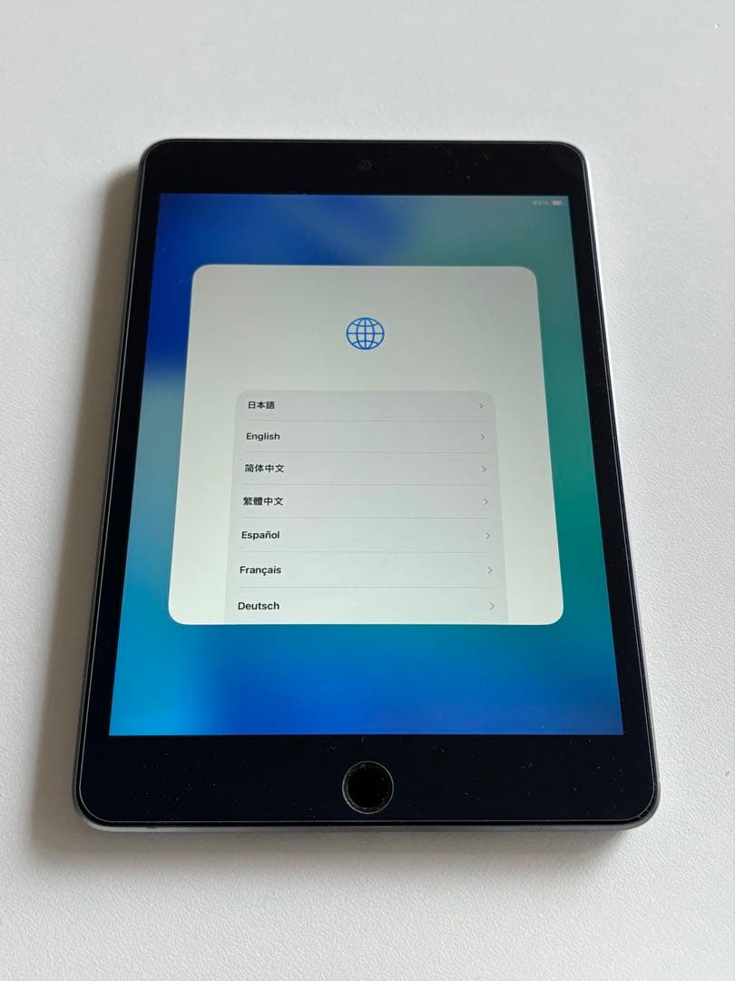 元箱付属品完備 iPad mini 第5世代 256GB スペースグレー　おまけ