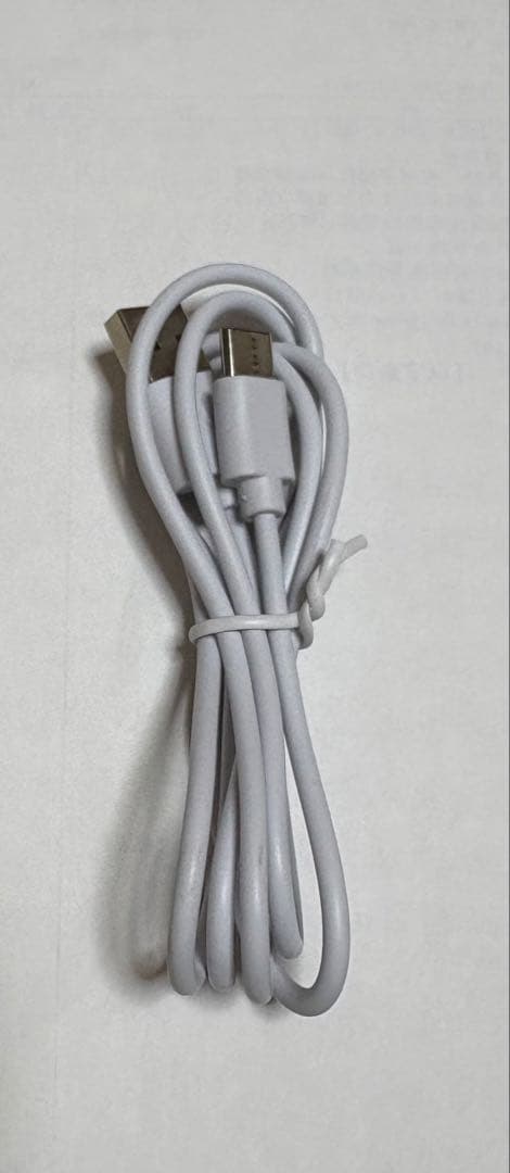 EMS RF 美顔器 USB充電式