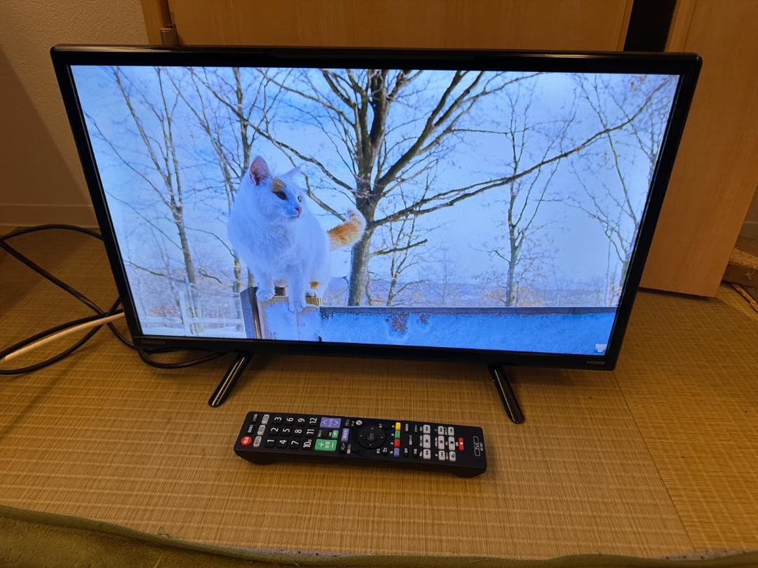 ORION オリオン 22型 テレビ 2022年製 OL22CD400　極美品！