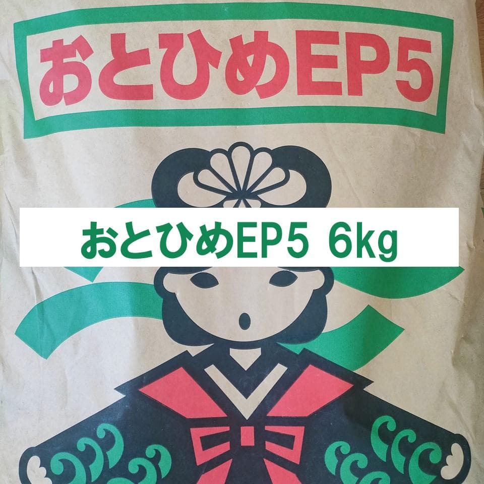 日清丸紅飼料 おとひめEP5 6kg 沈下性5.1×4.3㎜ ※送料無料※