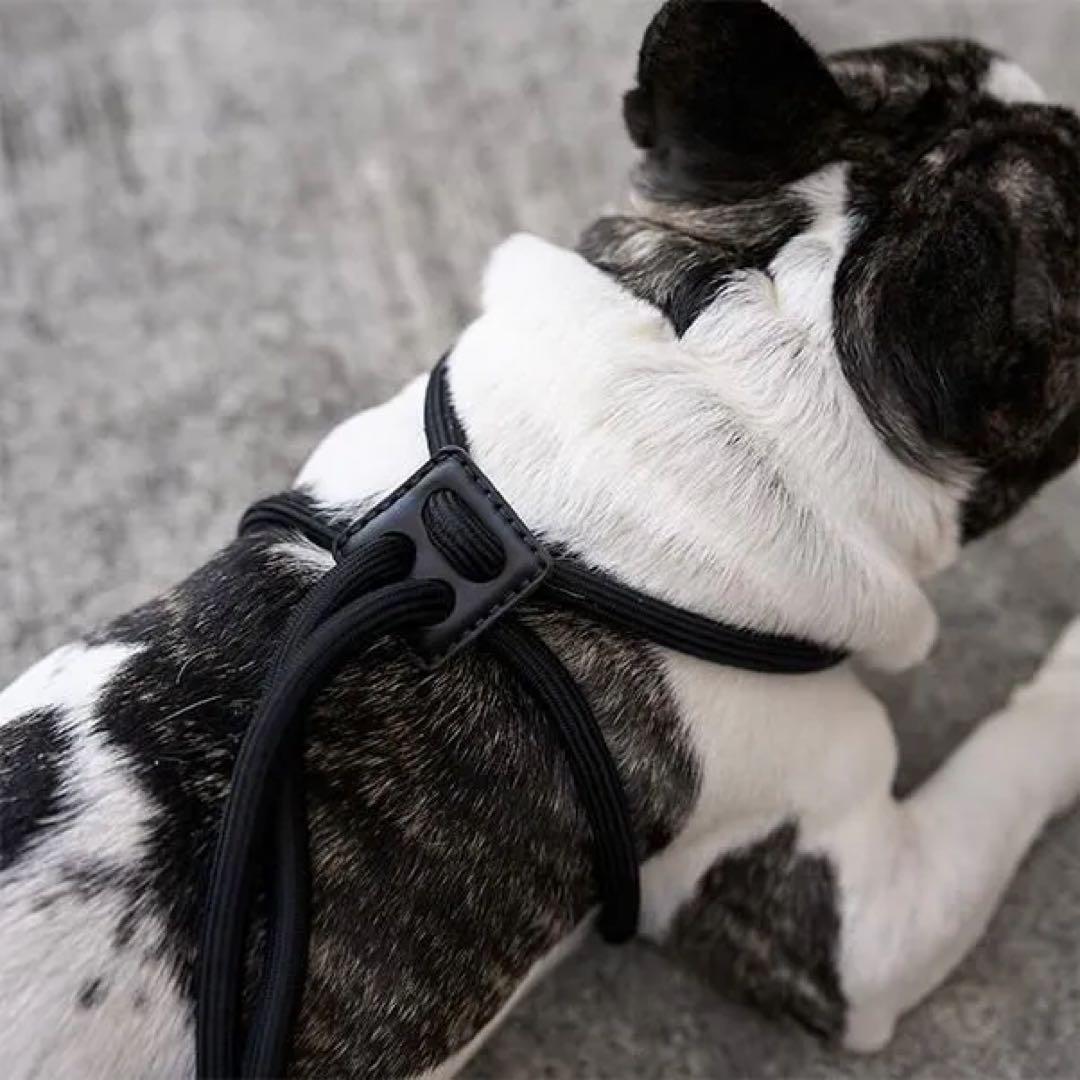 首輪・ハーネス・リード boo'oh ALL IN ONE Hands-Free HARNESS