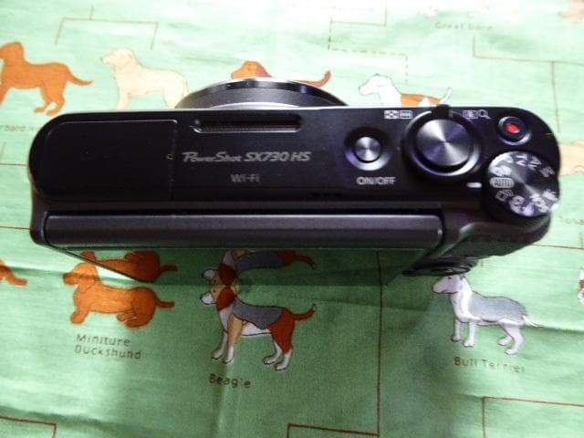 訳ありCanonSX730HS