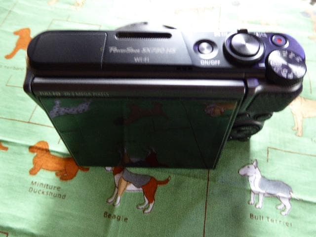 訳ありCanonSX730HS
