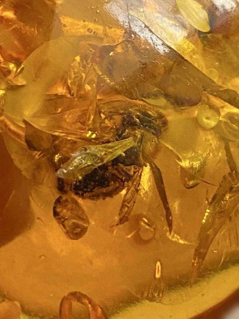 ♦️大粒琥珀 蜂か虫の昆虫入 ペンダントトップ 置物飾り ヴィンテージ物