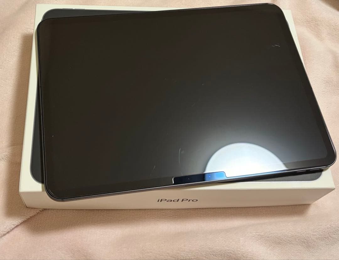 iPad Pro M4 11インチ　セルラーモデル　美品