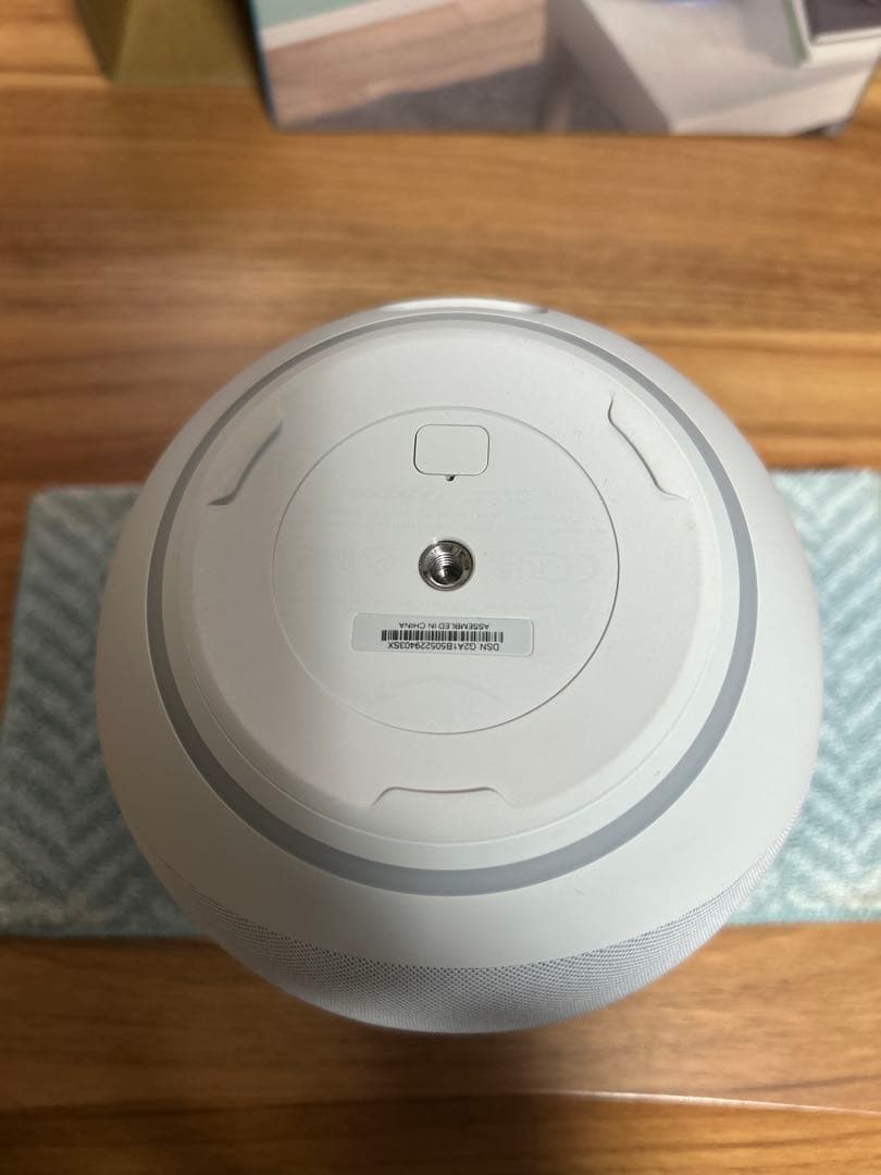 Echo 第4世代　グレイシャーホワイト