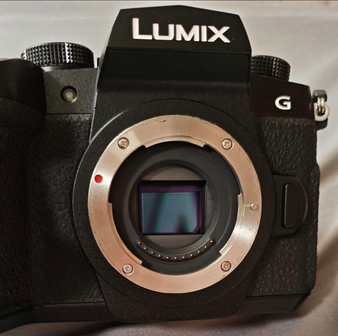 Panasonic LUMIX DC-G99DHズームレンズキット 予備電池付