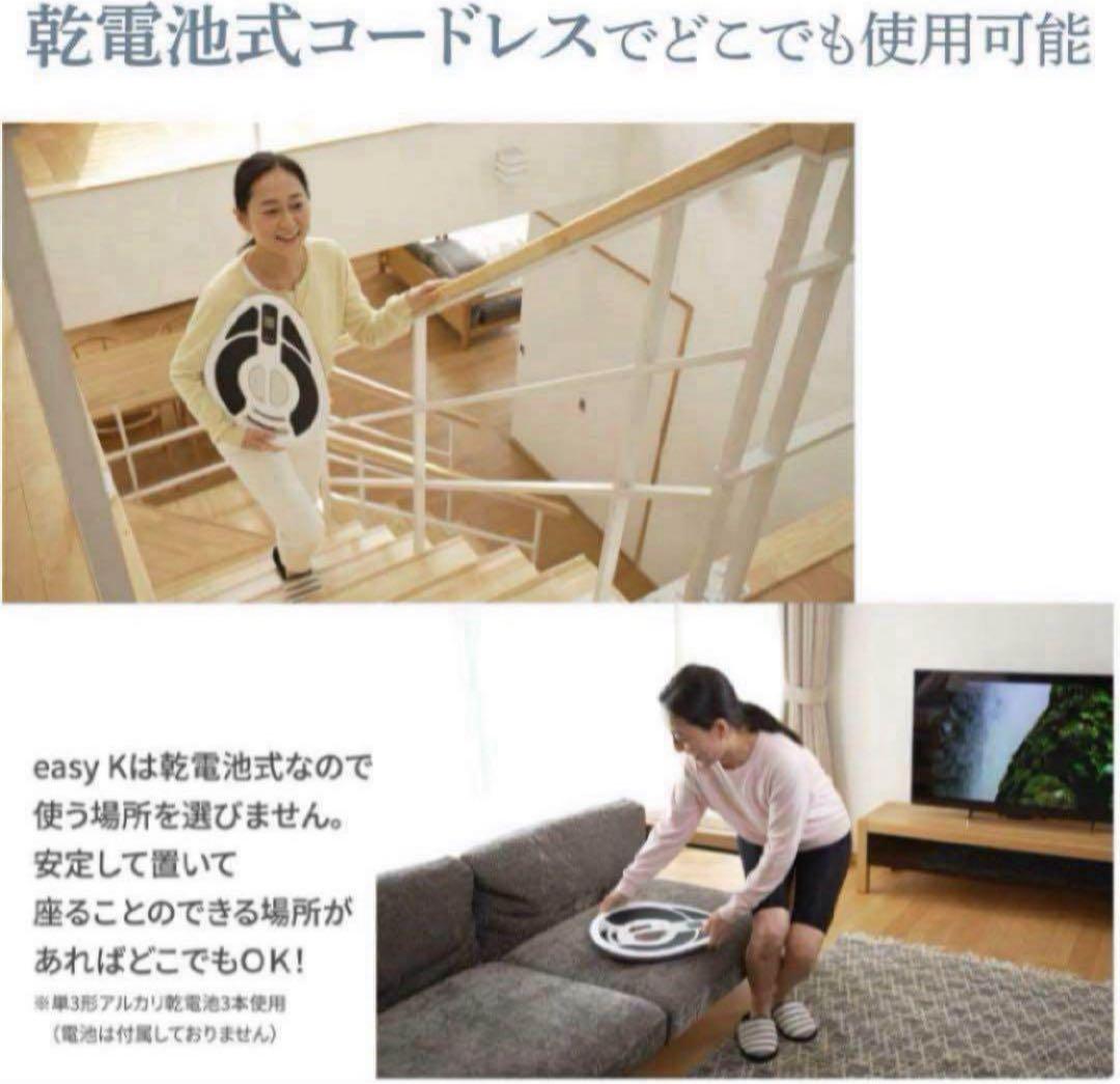 【新品未使用】easyK/easy-K/骨盤底筋/EMS/ケア