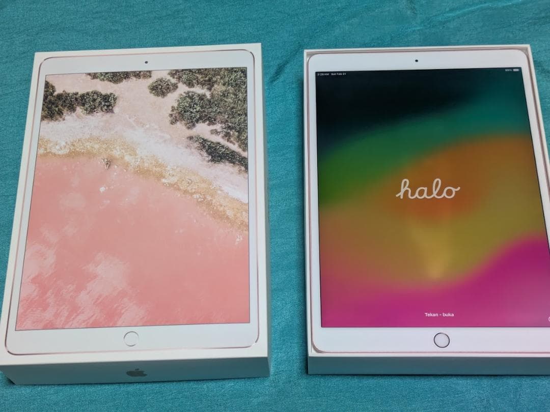 Apple iPad pro 10.5 256GB A1701 元箱 純正電源