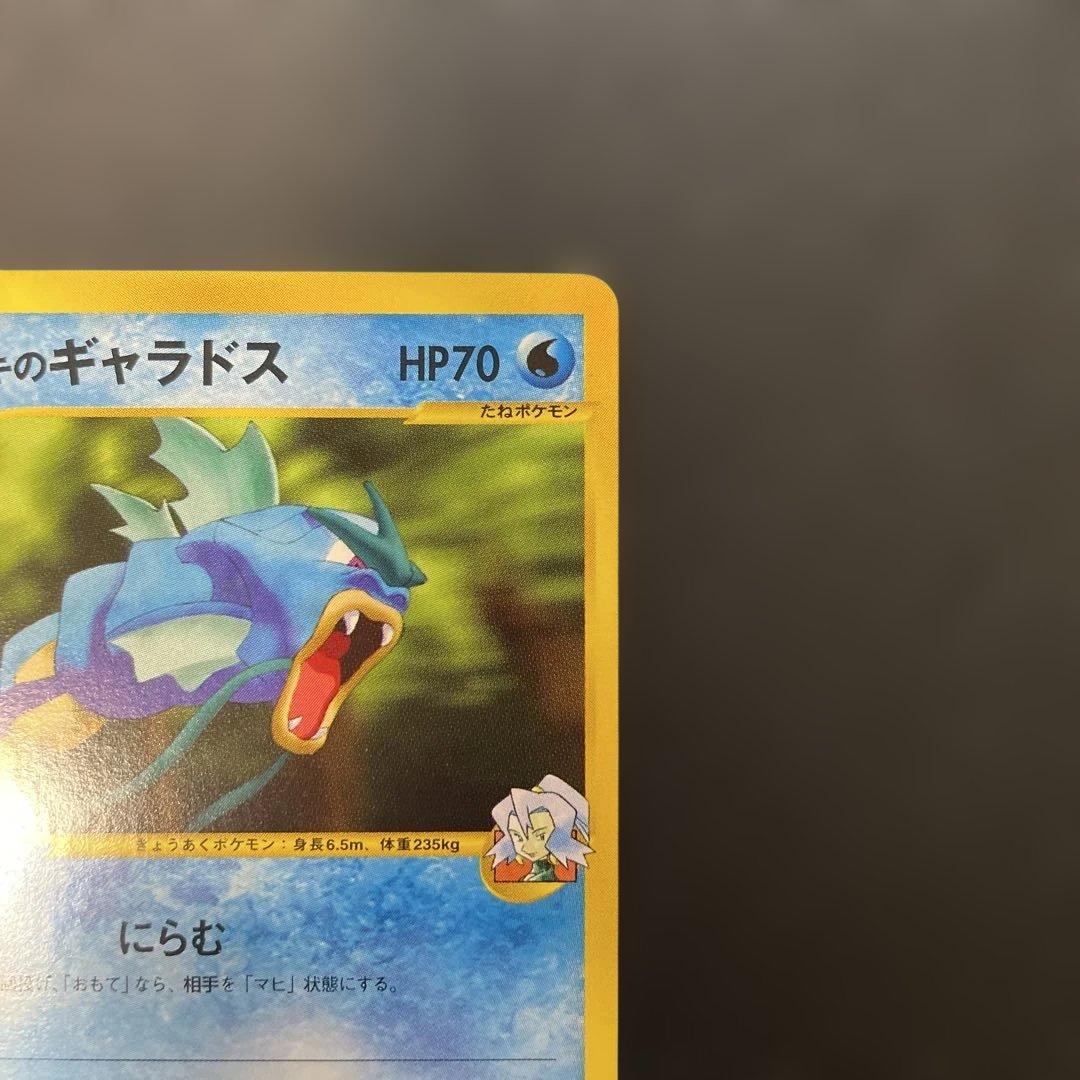 ポケモンカードVS イブキのギャラドス 048/141 4b
