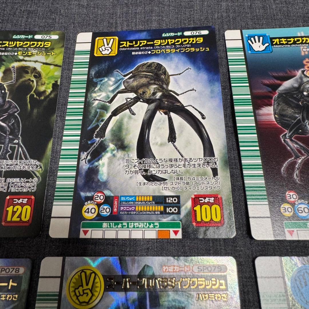 専*用様 ムシキング まとめ 6枚 バラ売不可