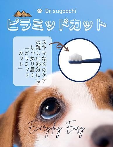【ドクタースゴオチ】ドクターデンタルワン 犬 歯ブラシ 小型犬 柔らかい 犬MM