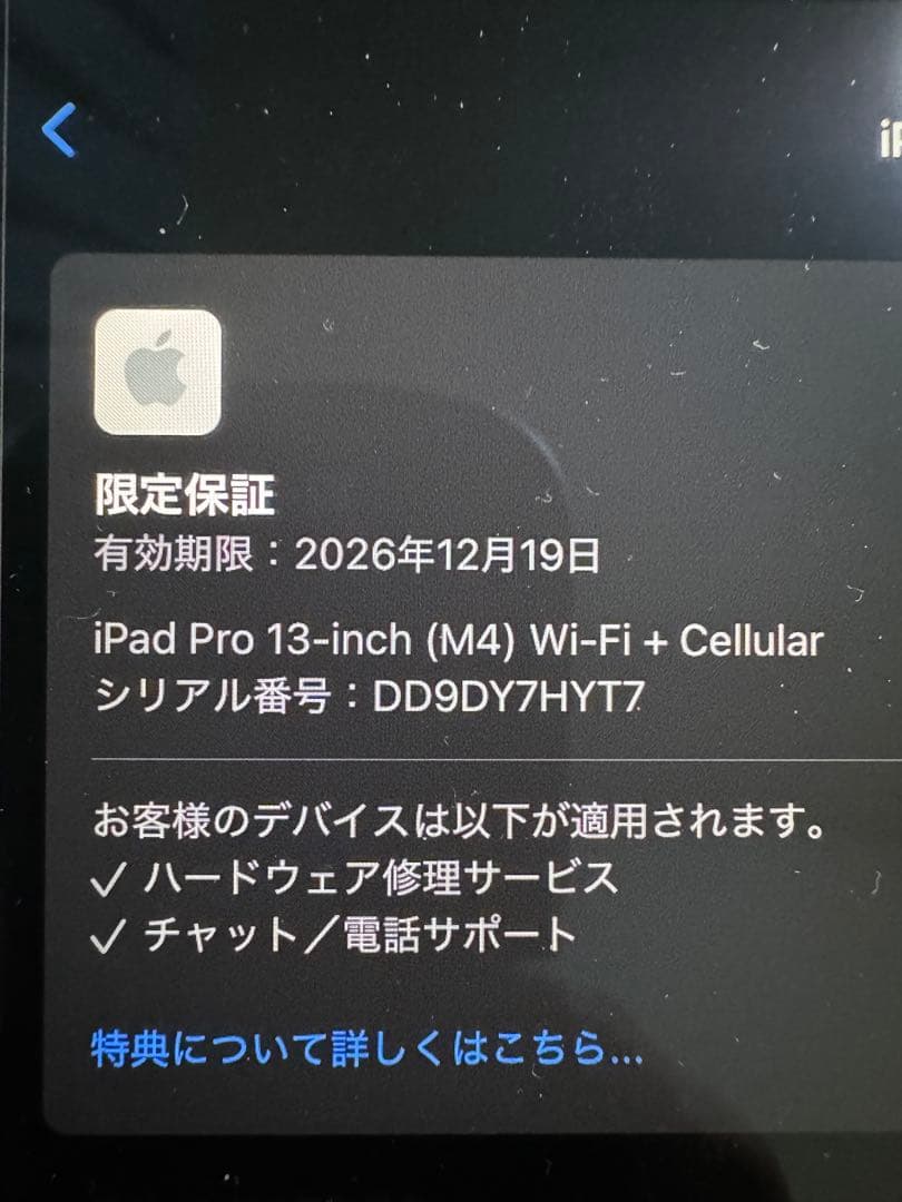 iPad Pro 13インチ (M4) Wi-Fi+Cellular 256GB