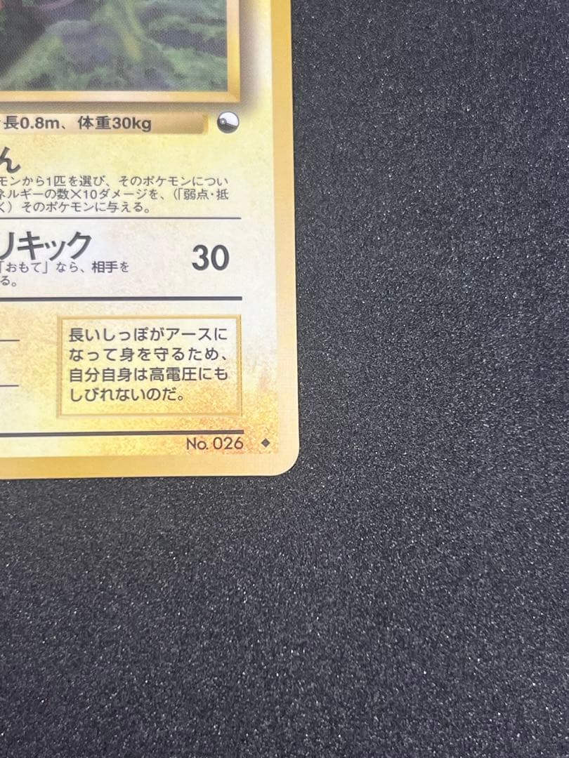 ライチュウ 旧裏