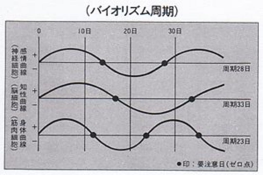 【稀少品！残り1個！】政木式バイオリズム計　政木和三　占い　運勢　新年　2026
