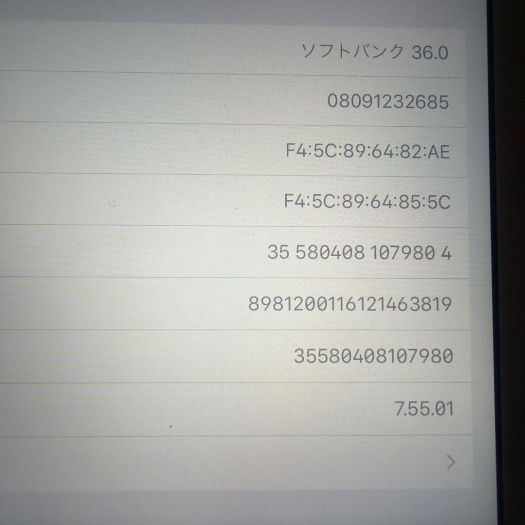 Apple iPad 本体 A1823 シルバー　第5世代