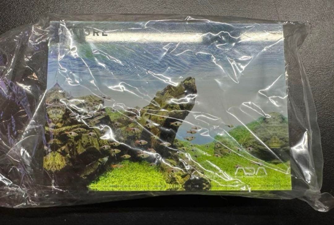 【新品・未使用】 ADAアクリルフォト 石組