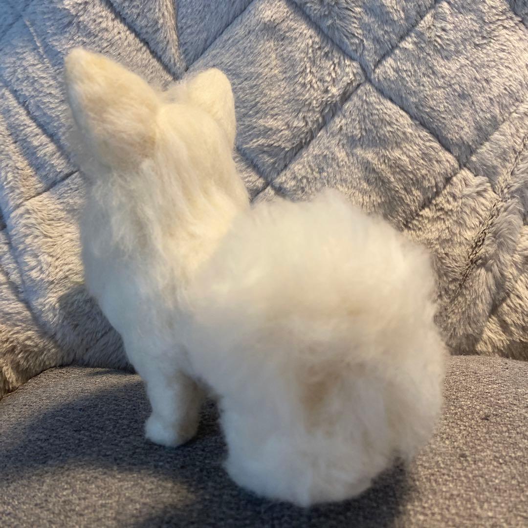 羊毛フェルト　チワワ　犬