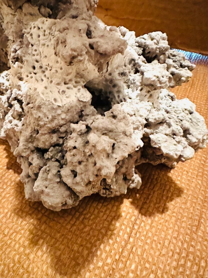 水槽用人工ライブロック自然形状接合品