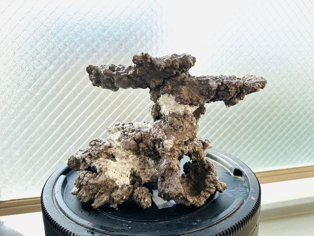 水槽用人工ライブロック自然形状接合品
