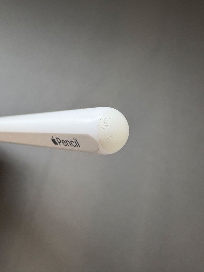Apple Pencil ホワイト＜第2世代＞ <No.1197>