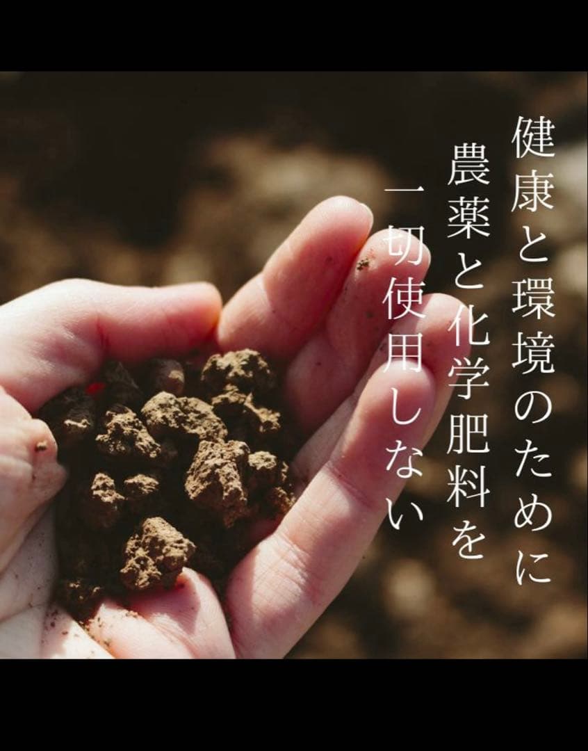 ハーモニーライフ酵素飲料「極み」 720ml