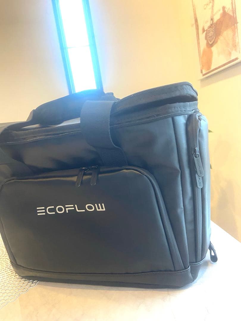 新品未使用✨EcoFlow DELTA 3シリーズ専用バッグ✨超便利