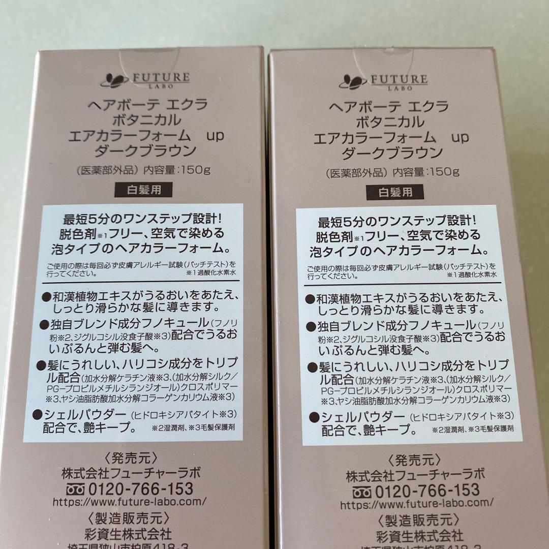 ヘアボーテエクラ　ボタニカルエアカラーフォーム150g2本セット