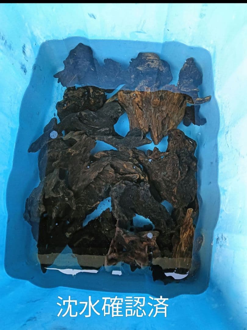 流木535　沈水確認済　アク抜き済　マシンガンウッド　美品　アクアリウム