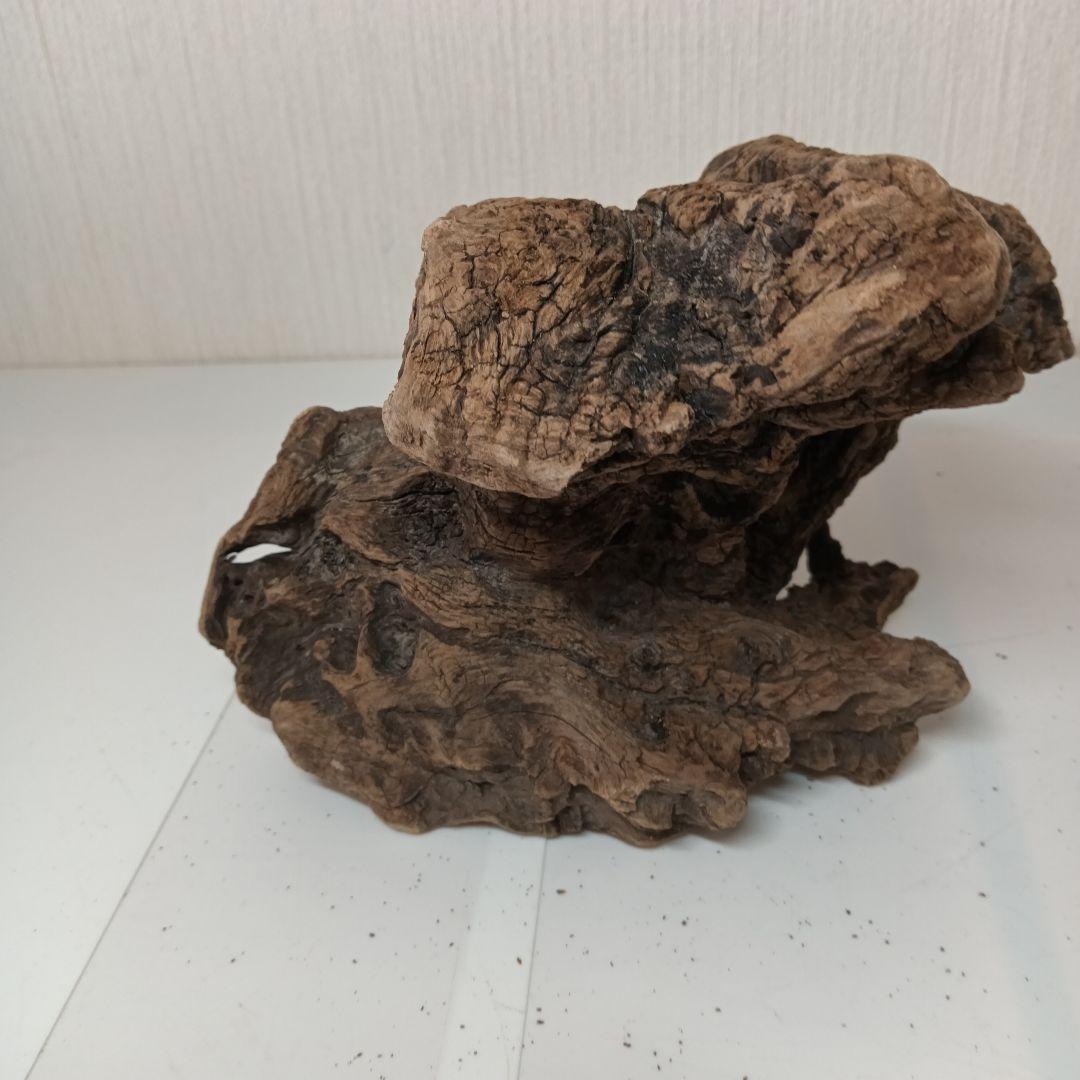 流木535　沈水確認済　アク抜き済　マシンガンウッド　美品　アクアリウム