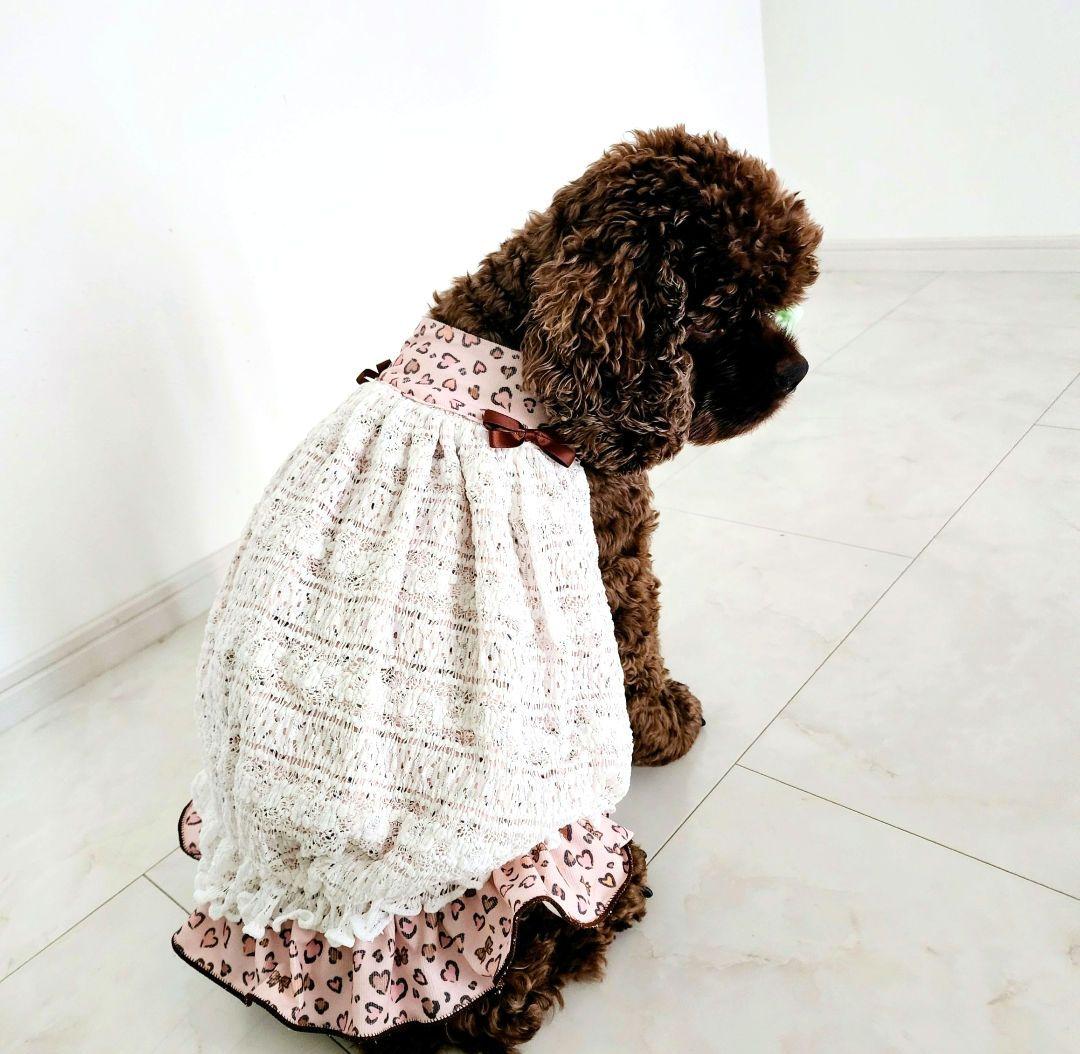 ご確認❤エコールワンピース❤ハンドメイド犬服