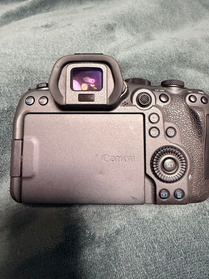 【3月19日9時まで！】 Canon EOS R6MarkⅡ バッテリー2個付