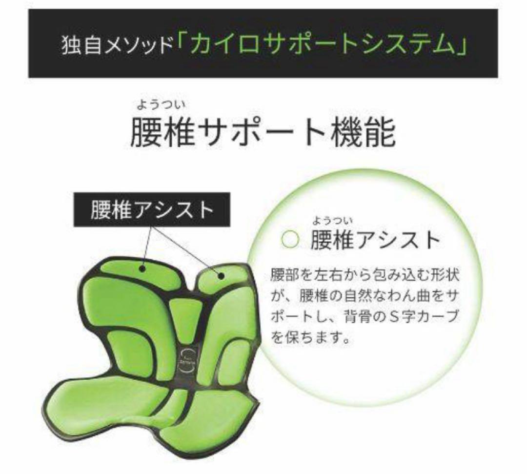 MTG Style Athlete スタイルアスリート 骨盤サポートチェア