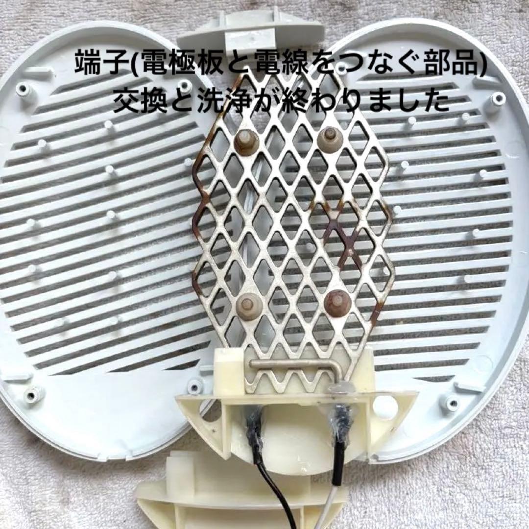 Lis &品