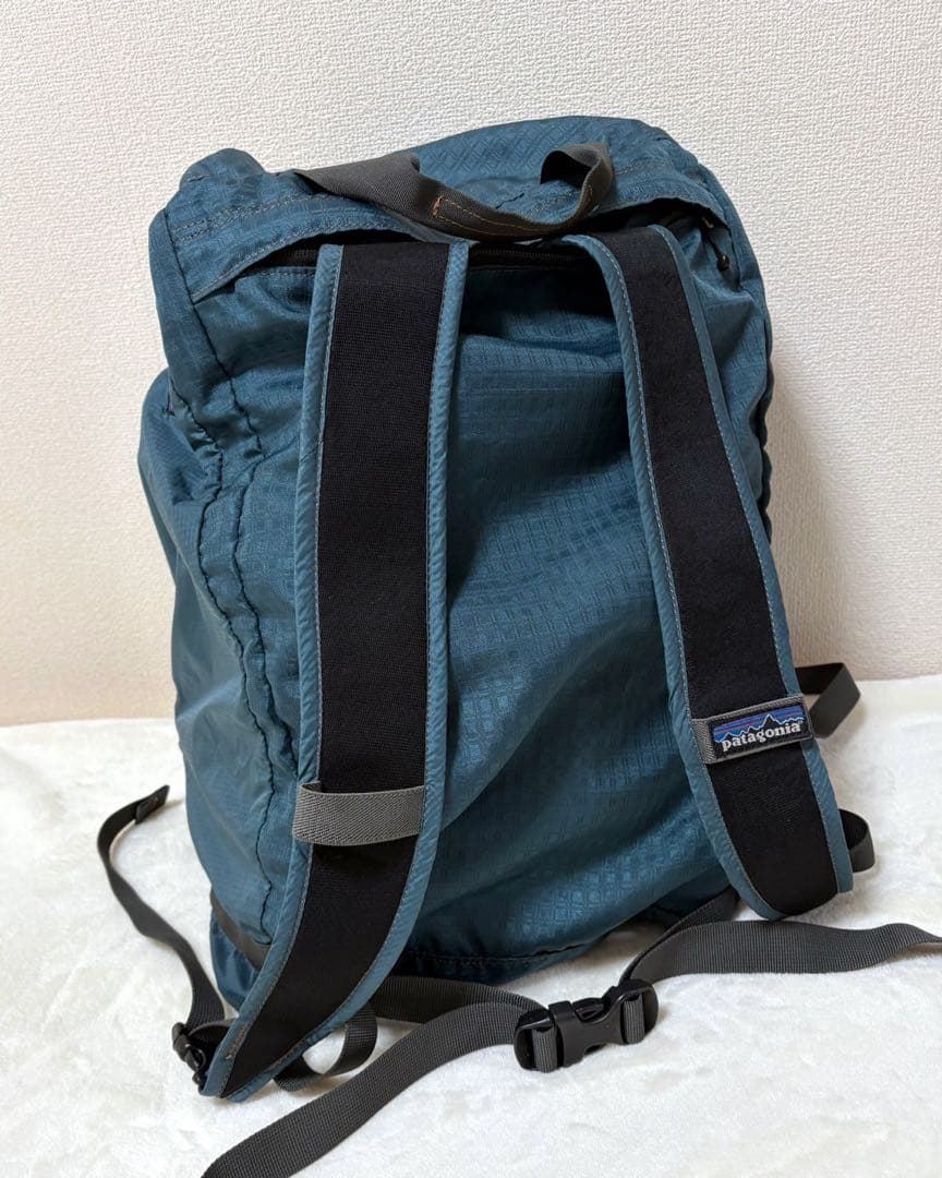 Patagonia パタゴニア　ライトウェイト トラベルダッフル 35L
