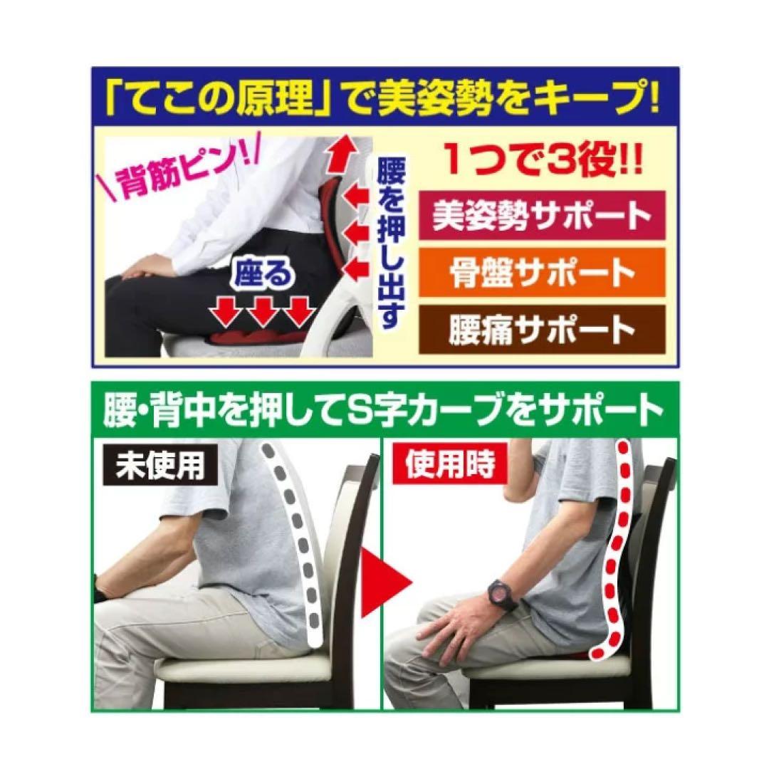 スワンル ボーテ 姿勢矯正　サポートチェア　　座椅子 骨盤矯正 猫背 セット