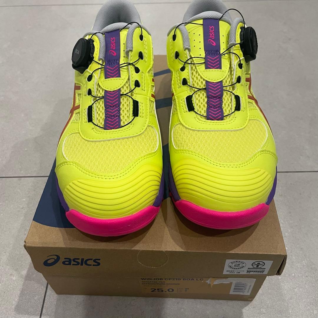 ウィンジョブCP219 BOA 限定色　25㎝