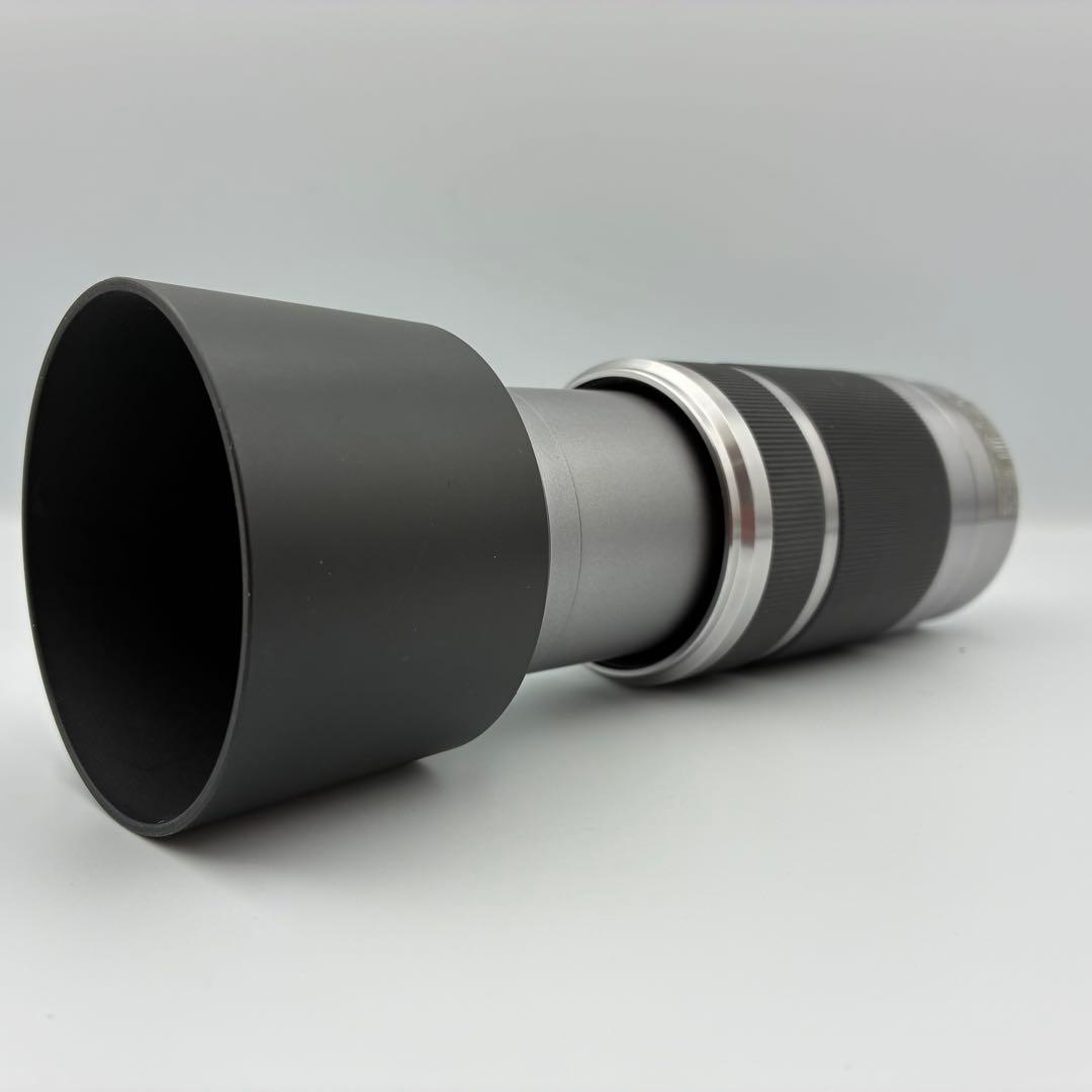 美品★ SONY SEL55210 55-210 OSS ソニー望遠 運動会