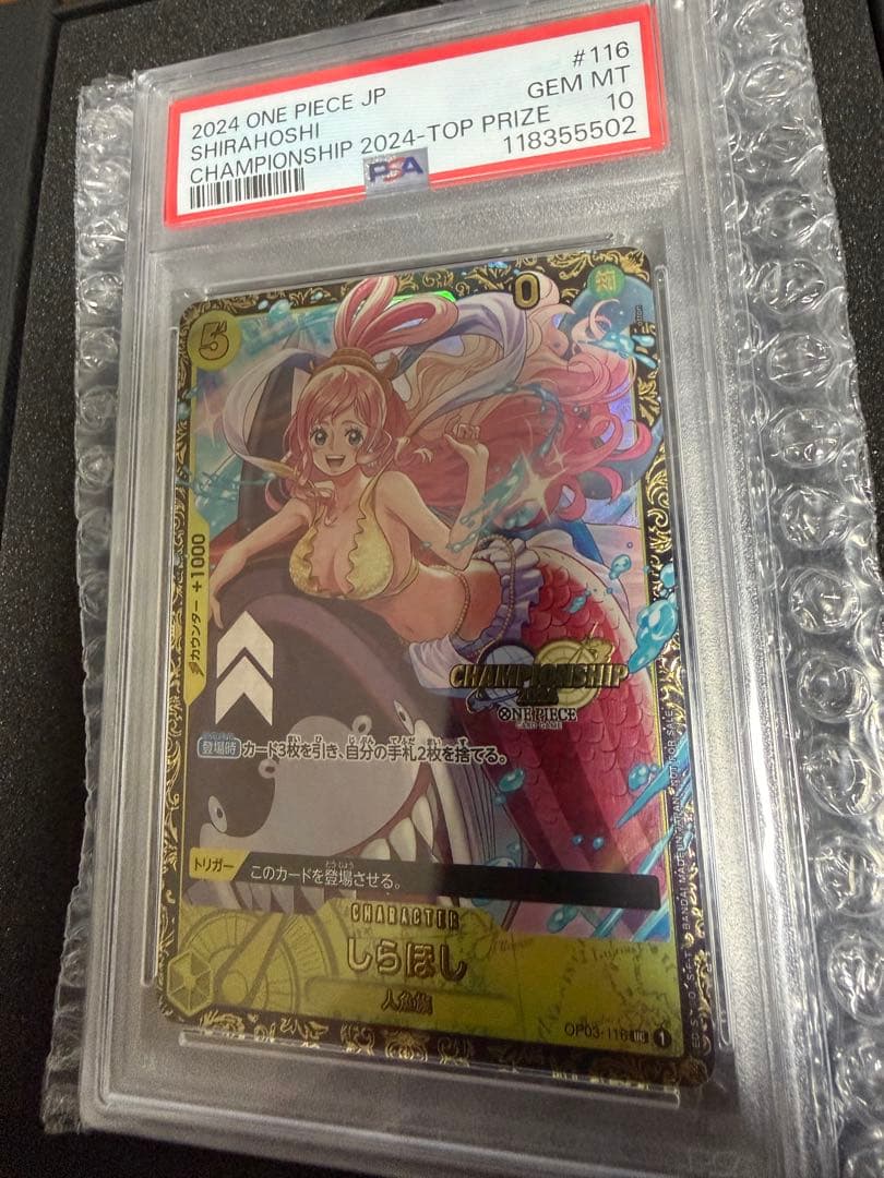 PSA10 しらほし チャンピオンシップ