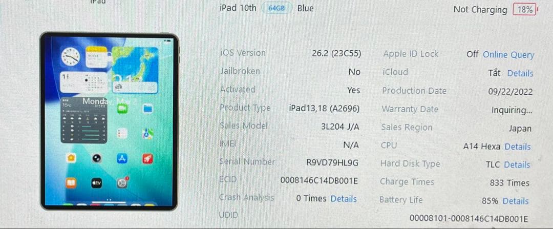 iPad (第10世代)Wi-Fiモデル 64GBブル