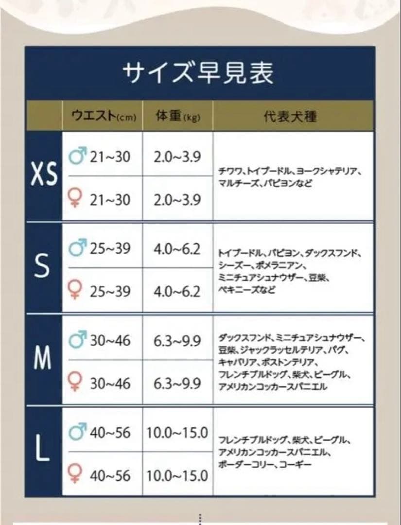 うんコロキャッチ　Ｌ　新品未使用　最新
