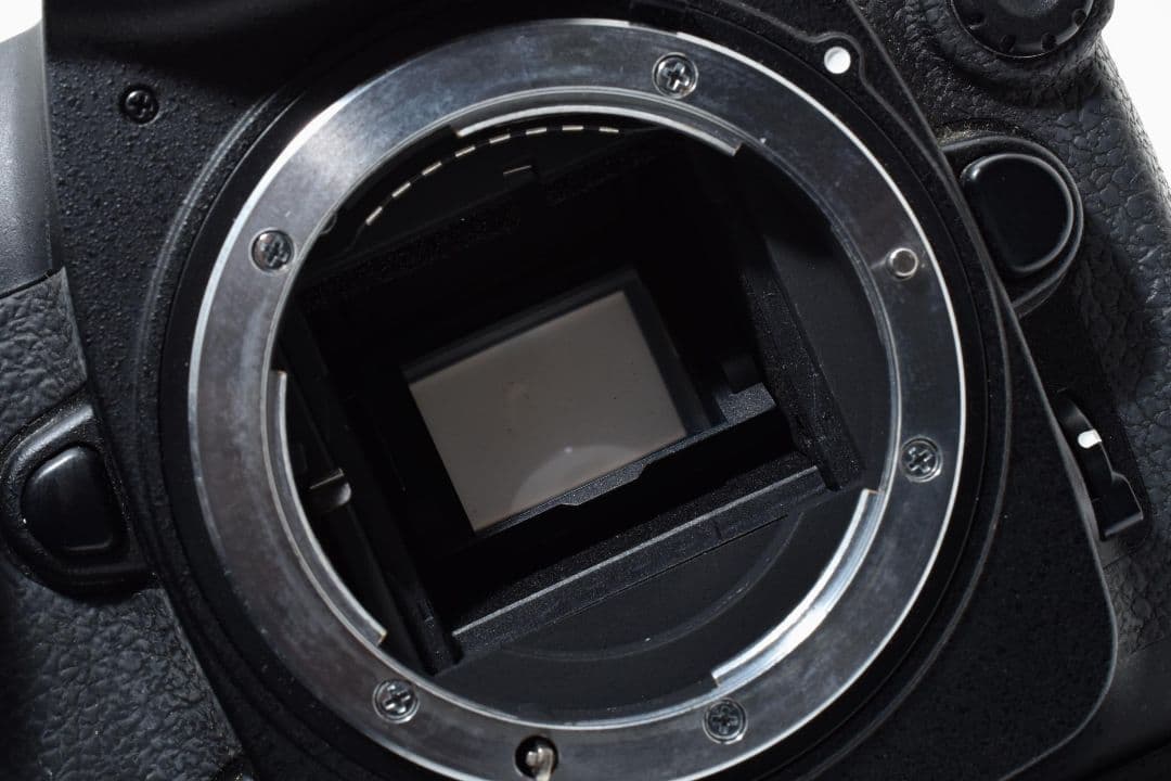 Nikon D200 ボディ MB-D200