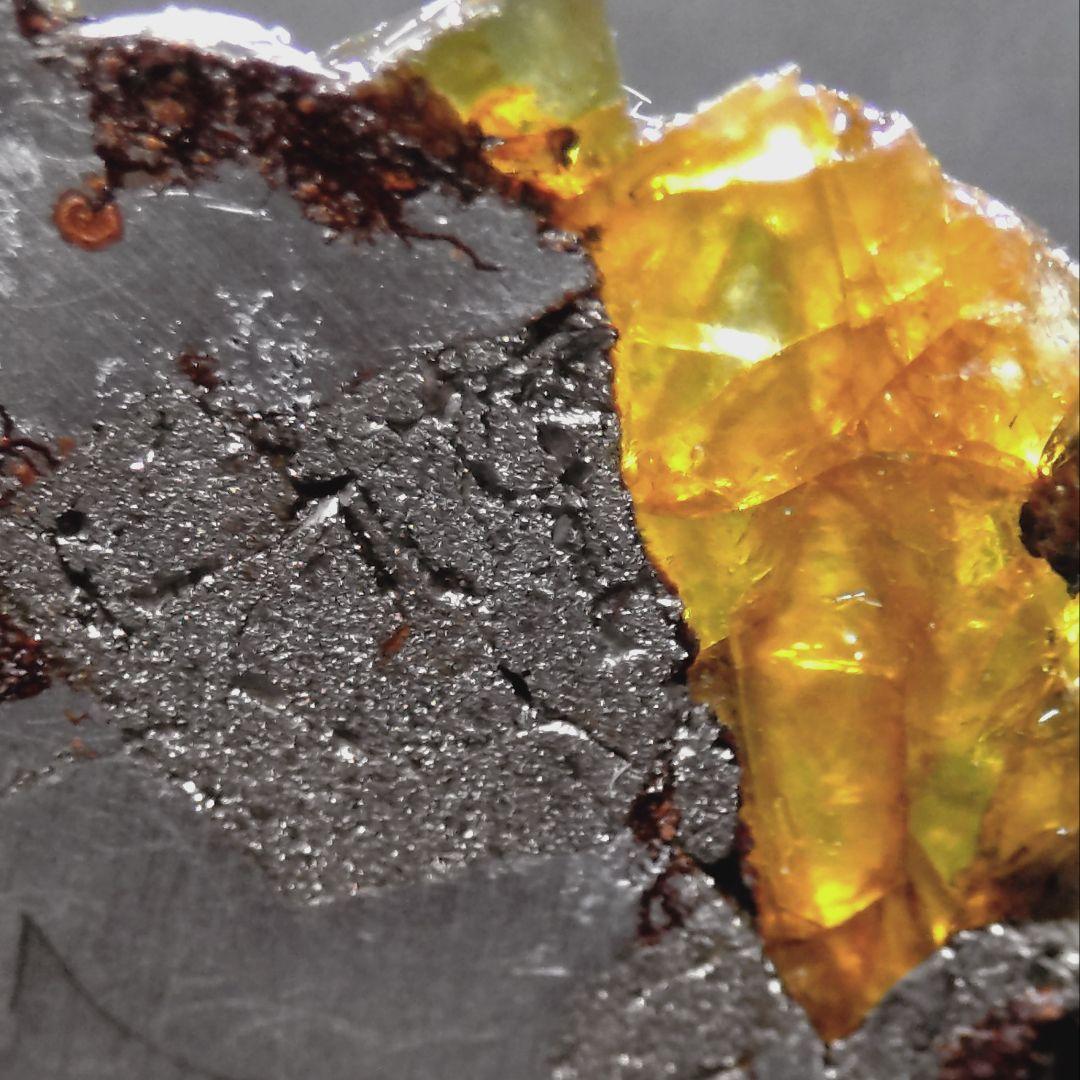 エスケル隕石（Esquel Meteorite）